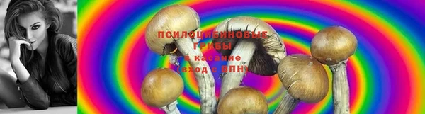 кокаин перу Бронницы